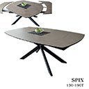 196dt-spin_s.jpg